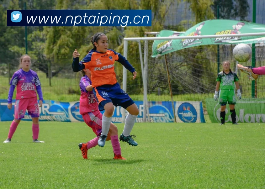 kaiyun中国官方网品牌故事