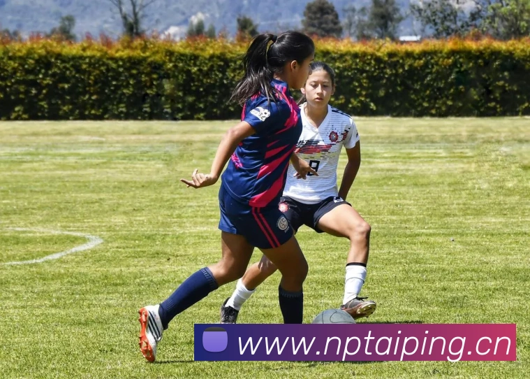 kaiyun中国官方网服务体系